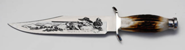 Buck 4835DANIELBOONE CUSTOM BOWIE - 916STSLE