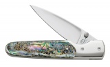 Case SLIMLOCK,ABALONE - 5180