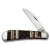 Case BLK AZTEC SWAY BACK GENT - 11064