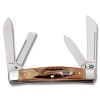 Case BRADFORD STAG MED CONGRESS - 16004
