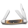 Case RANCHER CV AMBER MED STOCKMAN - 58174
