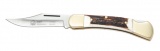 Puma Earl Staghorn Knife 210900