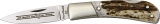 Fox-N-Hound Lockback Stag - FAC1