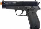 Firepower Firepower Sig Sauer Model P226 - FPR28114