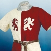 Movie items Assassins Creed The Lionheart - 883008L