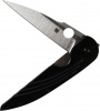 Spyderco Spyderco Des Horn Linerlock. - SC153GP