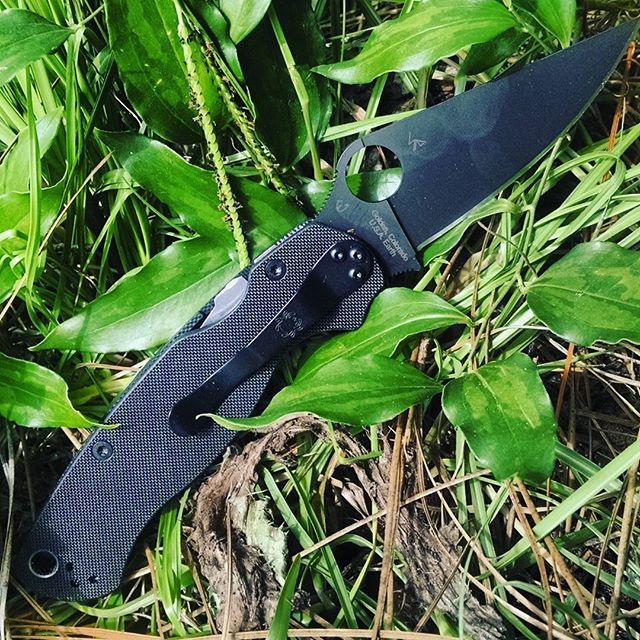 Spyderco Knives & Accessories C81GPBK2