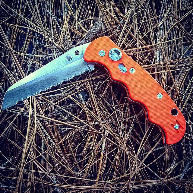 The Sypderco Autonomy Orange C165GSOR. With a 3.70 inch fully serrated blade, Assisted Opening, and button with safety. 
#sypderco #sypdercoknives #autonomy #orange #c165gsor #assisted #opening #buttonwithsafety #fullyserrated