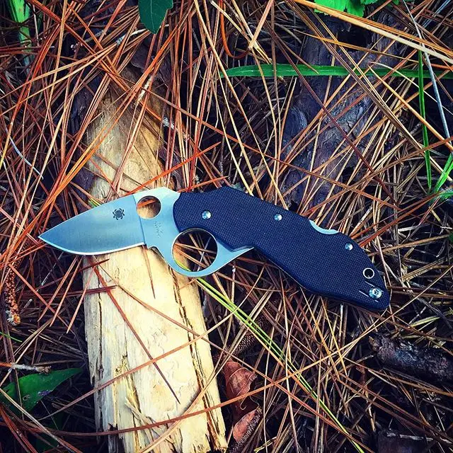 Spyderco introvert-two inch plain edge with a large finger hole for bearing down on the blade. Fun fact: The introvert was the worlds first flipper-opening back lock folding knife , created by Chris Knutson. #spyderco #introvert #spydercoknives #C206GP #plainedge