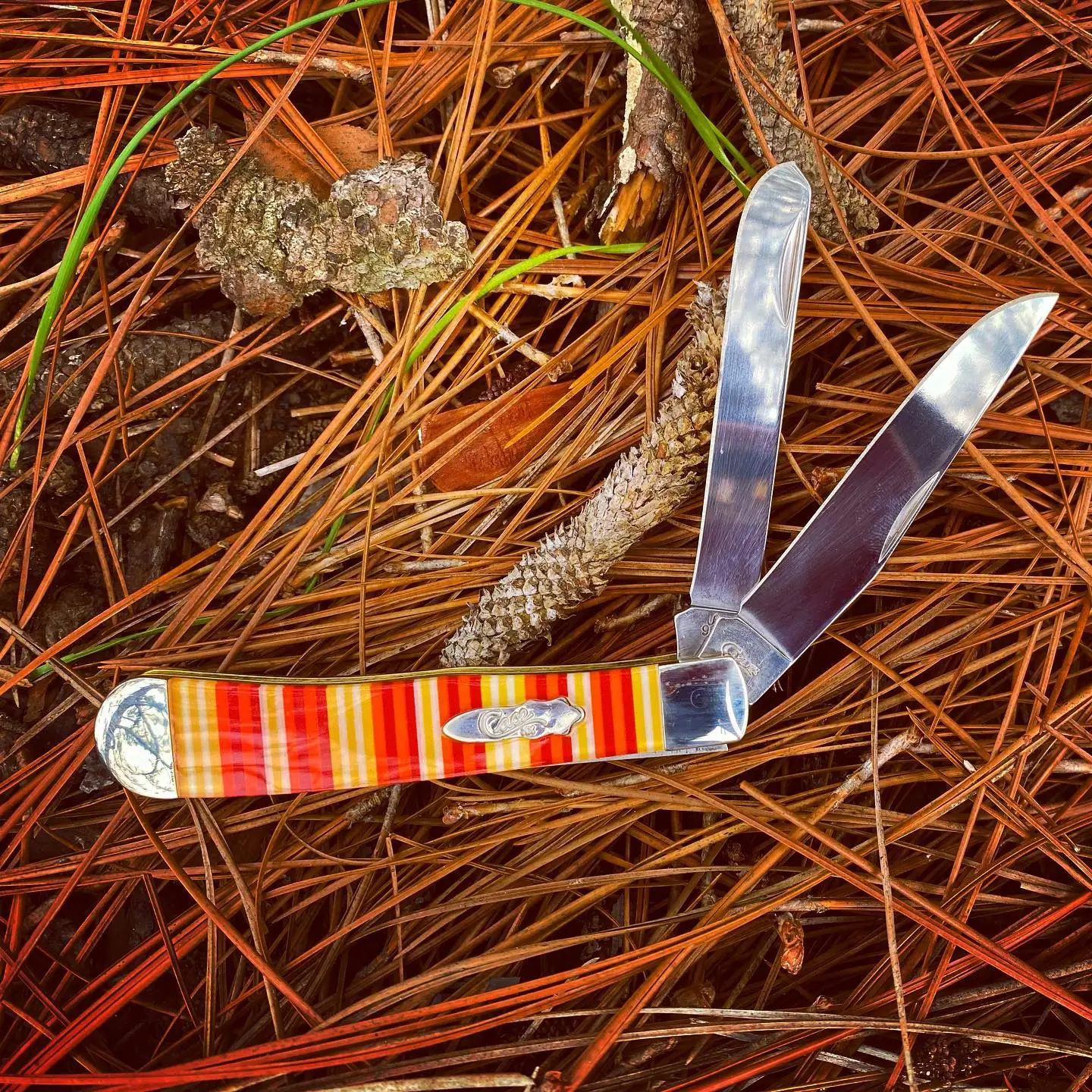 Case Candy Stripe Corelon Trapper CA9245CY.  This knife looks good enough to eat- if you love candy corn! Case knows how to produce a good treat. #candystripeknives #caseknives #orangehandleknives #corelon #trapper