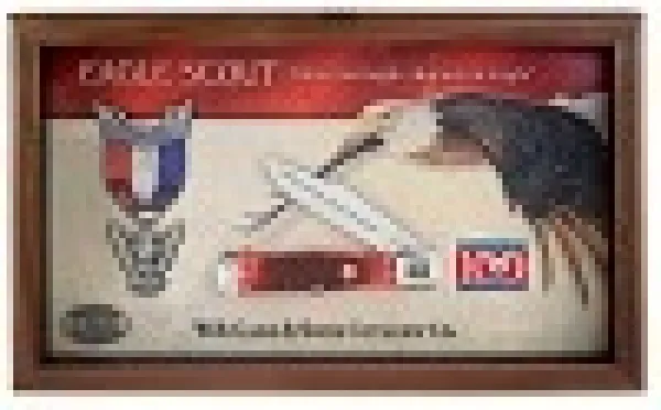 Case 08068 Boy Scouts of America Eagle Scout Knife