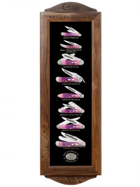 Case 11700 Cotton Candy Set Display Case