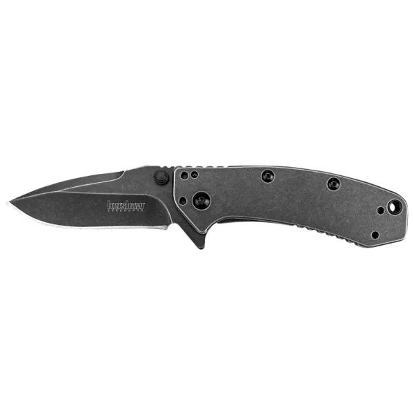 Kershaw Cryo - Blackwash knives 1555BW