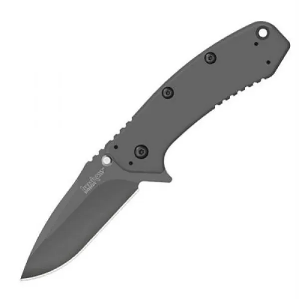 Kershaw Cryo Ii knives 1556TI