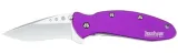 Kershaw SCALLION-PURPLE - 1620PUR