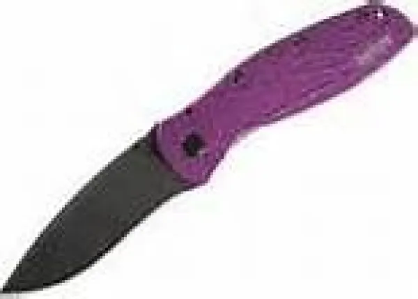 Kershaw Purple Web Blur Knife 1670SPPR 