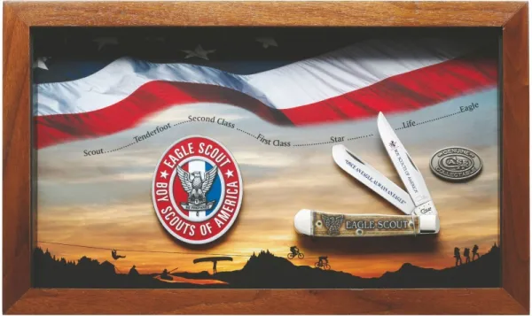 Case BSA Eagle Scout Commemorative - Embellished Smooth Natural Bone Trapper (6254 SS) in Wooden Display Knives 18039
