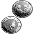 2011 Australian Silver Koala 1/2 oz - in capsule