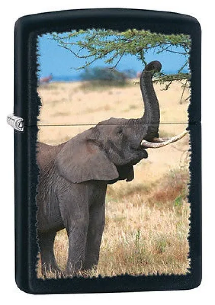 Zippo Elephant Black Matte lights 28666