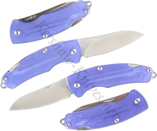 Kershaw Little Lock Back Folder -blue knives 5300BL