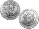 2004 1 oz Silver American Eagle Coin - 20 Pack