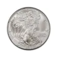 2010 1 oz Silver American Eagle Coin