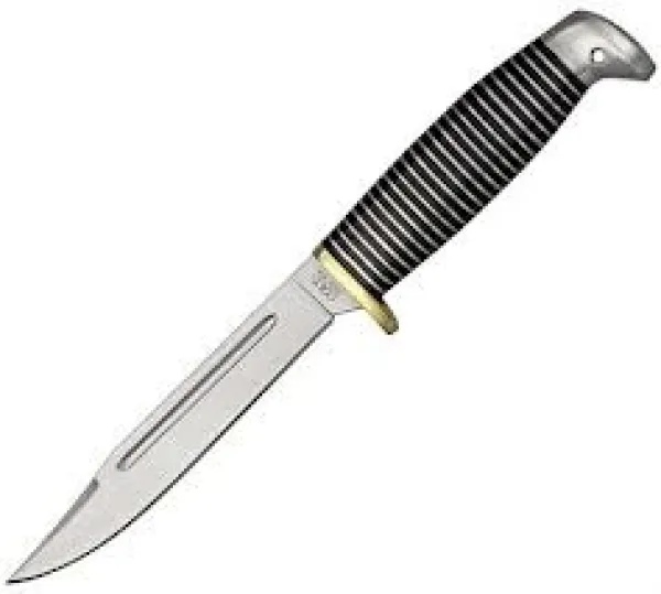  Black Beauty Hunter CT466