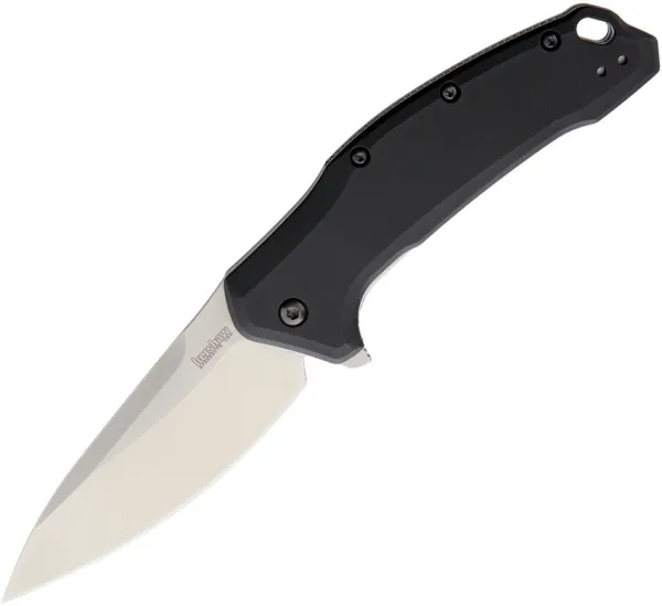 Kershaw Link Linerlock A-O knives KS1776BLK