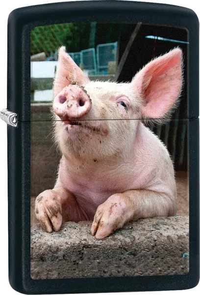 Zippo Pig Dreaming lights ZO11982