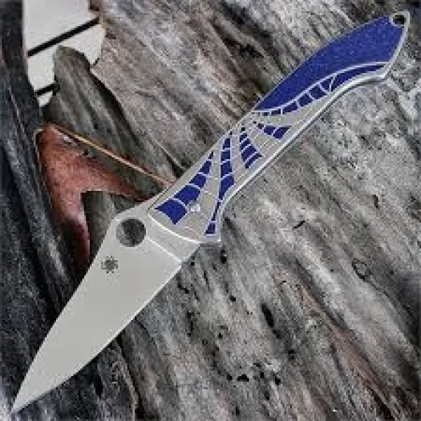 Spyderco Mike Draper Folder knives C171TIBLP