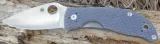 Spyderco Alcyone Gray G-10 Plain Edge C222GPGY