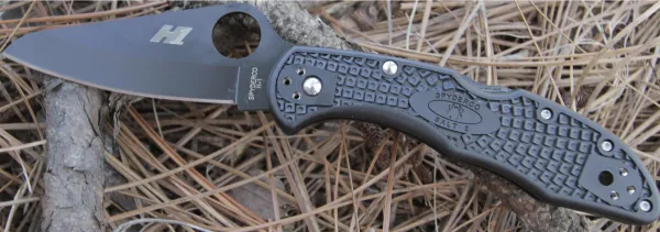 Spyderco Salt 2 Black Plain Edge C88PBBK2