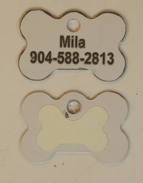 White Dog Bone Pet I.D. Collar Tag with Glow in the Dark Back ENGRAVEDPETIDTAG_BONE_WHITE_GLOW