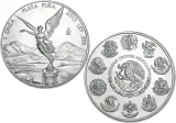 2013 1 oz Silver Mexican Libertad Coin - 20 Pack