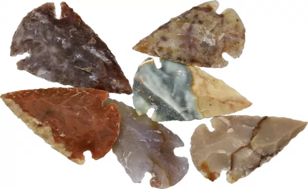 Arrowhead Arrowhead Assortment - Small AAH02