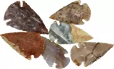 Arrowhead Arrowhead Assortment - Small - AAH02