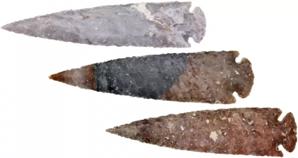 Arrowhead Arrowhead Assortment - XL AAH05