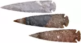 Arrowhead Arrowhead Assortment - XL - AAH05