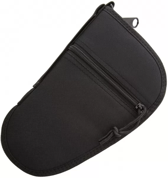 Carry All Pistol Case AC184