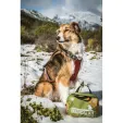 Adventure Medical Workin Dog Medical Kit outdoor gear AD01350100
