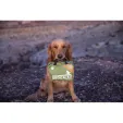 Adventure Medical Workin Dog Medical Kit outdoor gear AD01350100