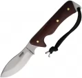 Aitor Safari Jr. Fixed Blade - AI16471