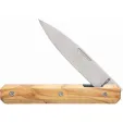 Akinod 18H07 Paring Linerlock AKI03M00001