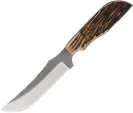 Anza Fixed Blade Amber Bone - AZ709AJB