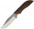 Anza Fixed Blade Amber Bone - AZJWK2AJB