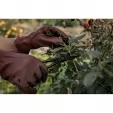 Barebones Living Classic Work Glove Cognac XS BARE084