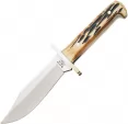 Bear & Son Baby Bowie - BC50012