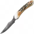 Bear & Son Caper India Stag - BC5009D