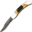 Bear & Son Folding Hunter Stag - BC597D