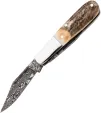 Bear and Son Baby Barlow Stag Damascus BCGS281D